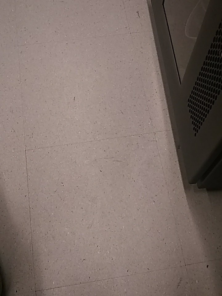 techmahindra13's tweet image. Crazy day at work!!!