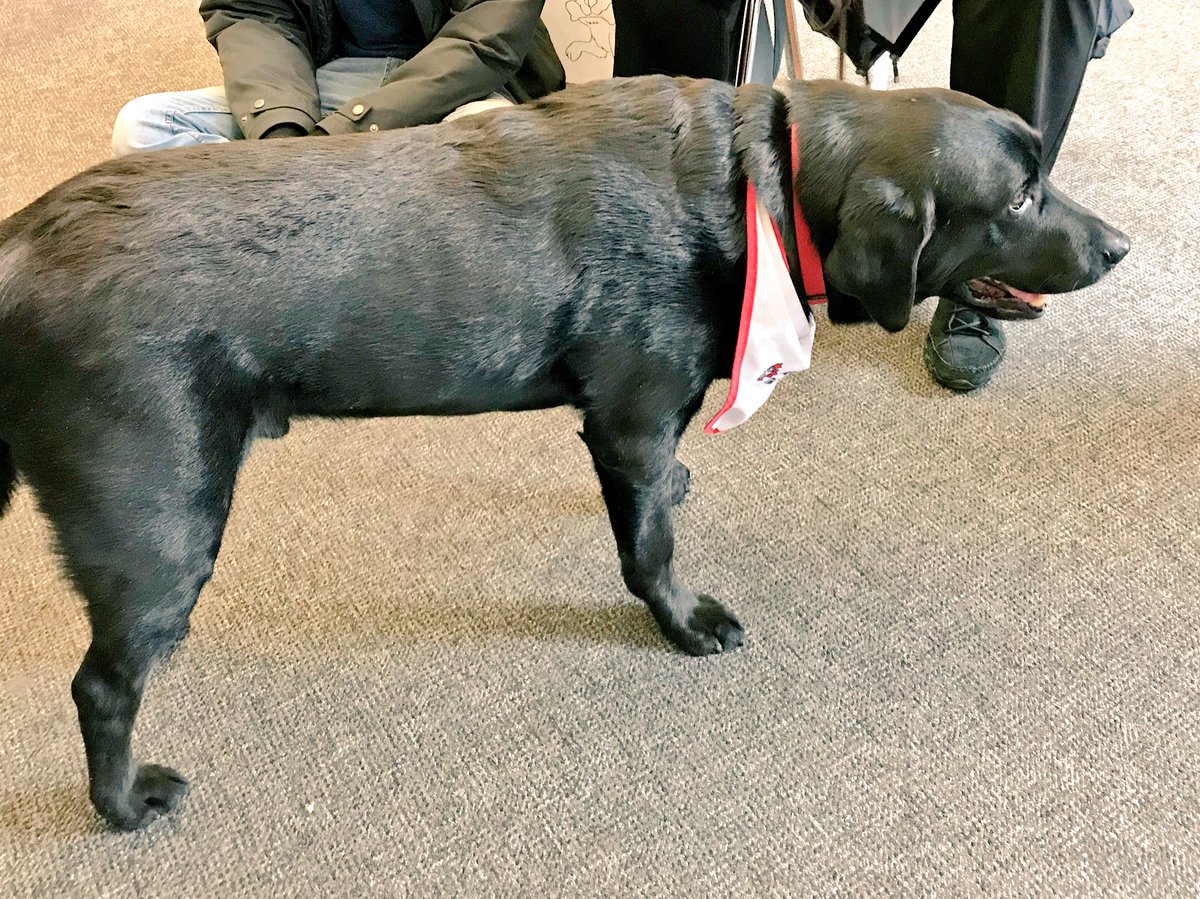 dave behiel tweet media