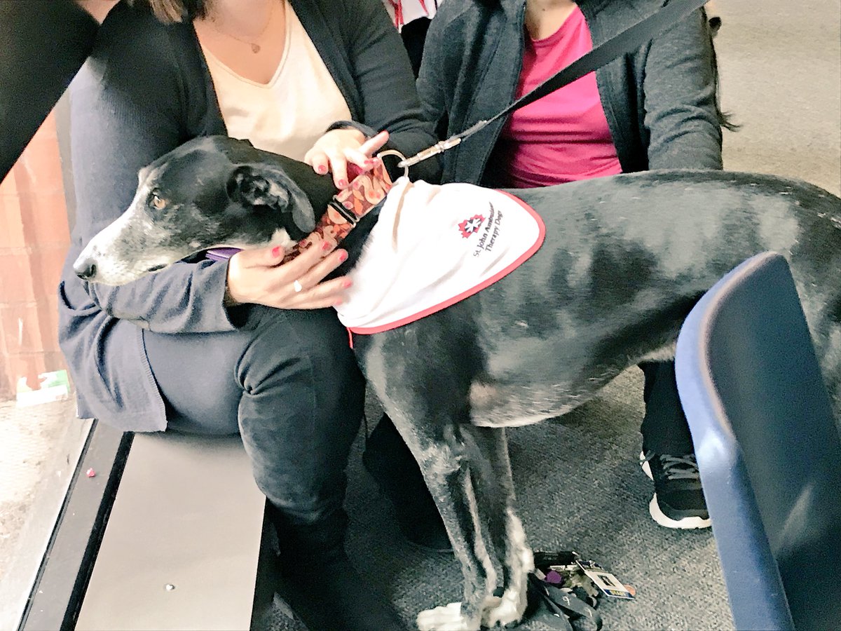 dave behiel tweet media