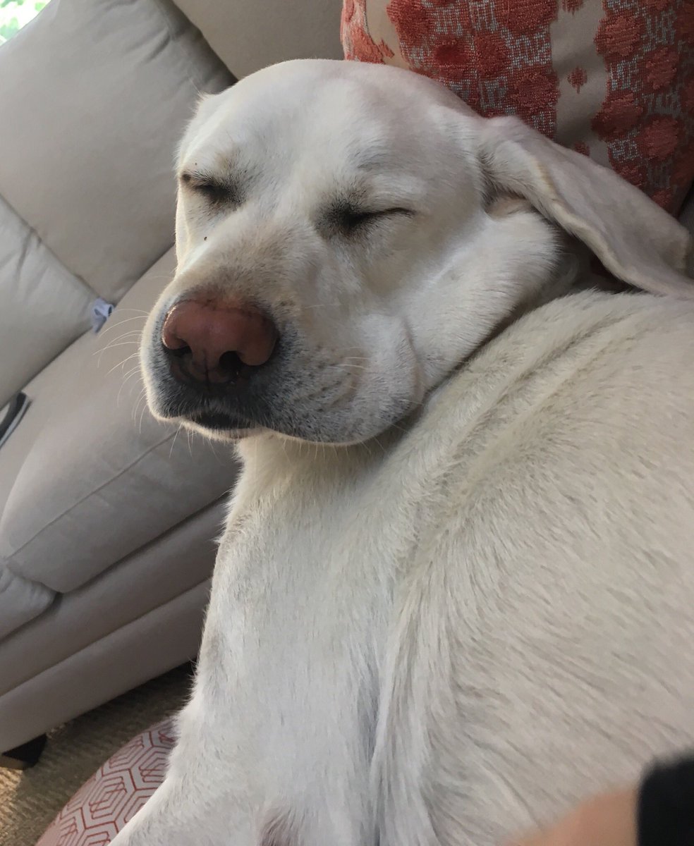 emcoo_'s tweet photo. when the edible hits https://t.co/vgODyxmJ3t