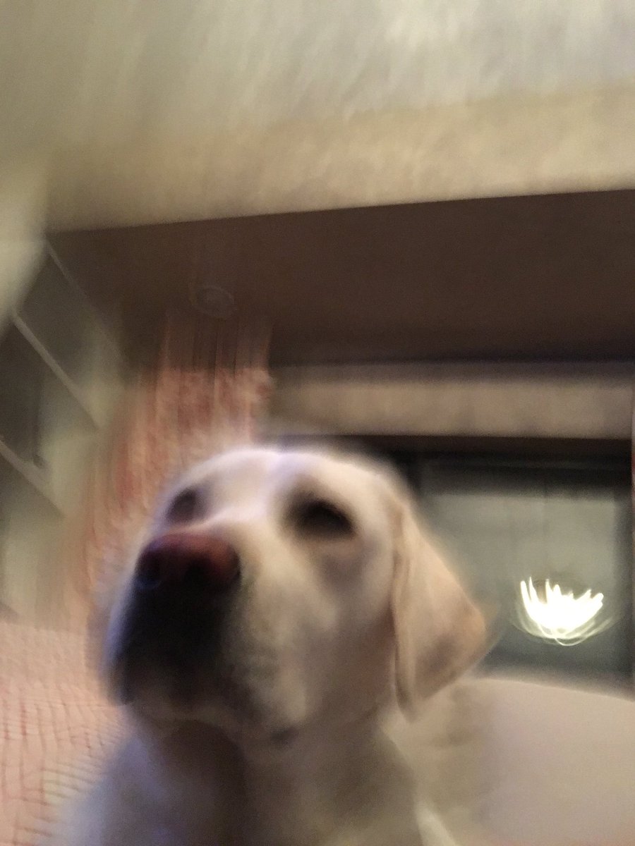 emcoo_'s tweet photo. when the edible hits https://t.co/vgODyxmJ3t