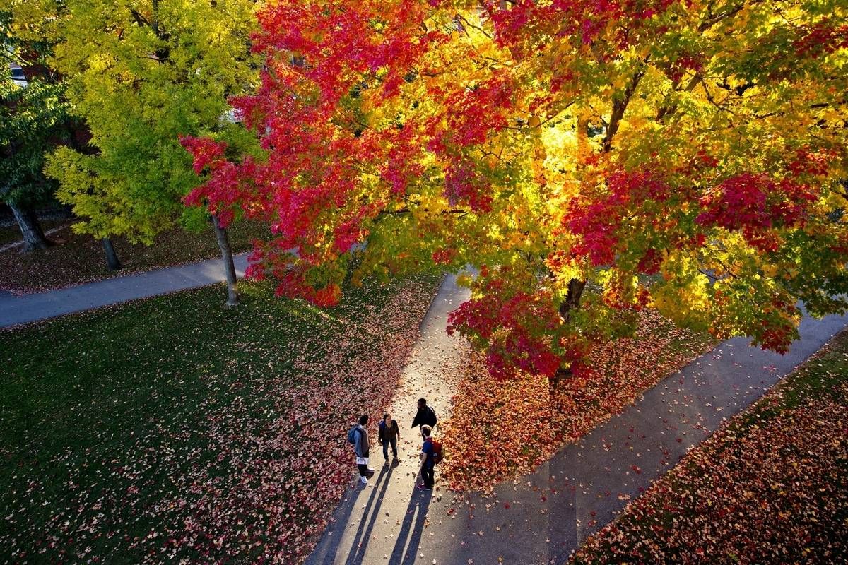 METintl's tweet photo. #DidYouKnow @GetLibris has listed BU as 1 of the 15 best US colleges to follow on social media?
#FunFacts #oneBU #ProudToBU
https://t.co/mT1iKKaXRP https://t.co/8Wb5jv6ksZ