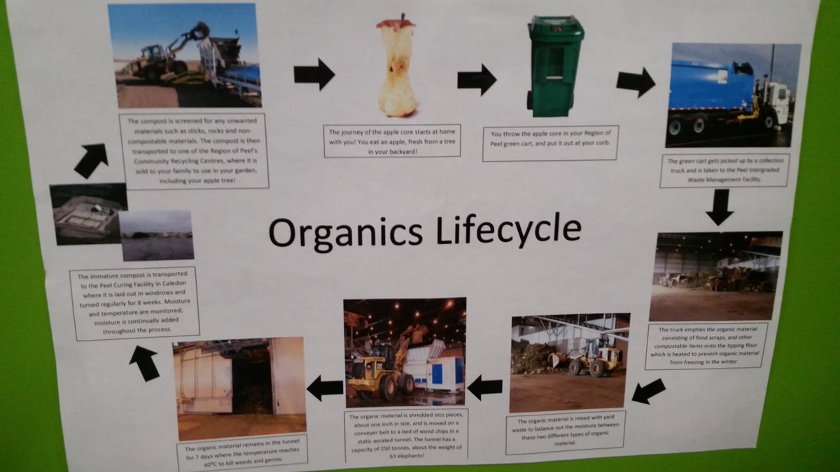 JNSS_EcoSchool's tweet photo. Some interesting facts from the facility tour. @JudithNymanSS  @PDSB_eco @TRCA_Edu @DPCatholic @regionofpeel #wheredoesitgo #recycleright https://t.co/2hjIJIejV6