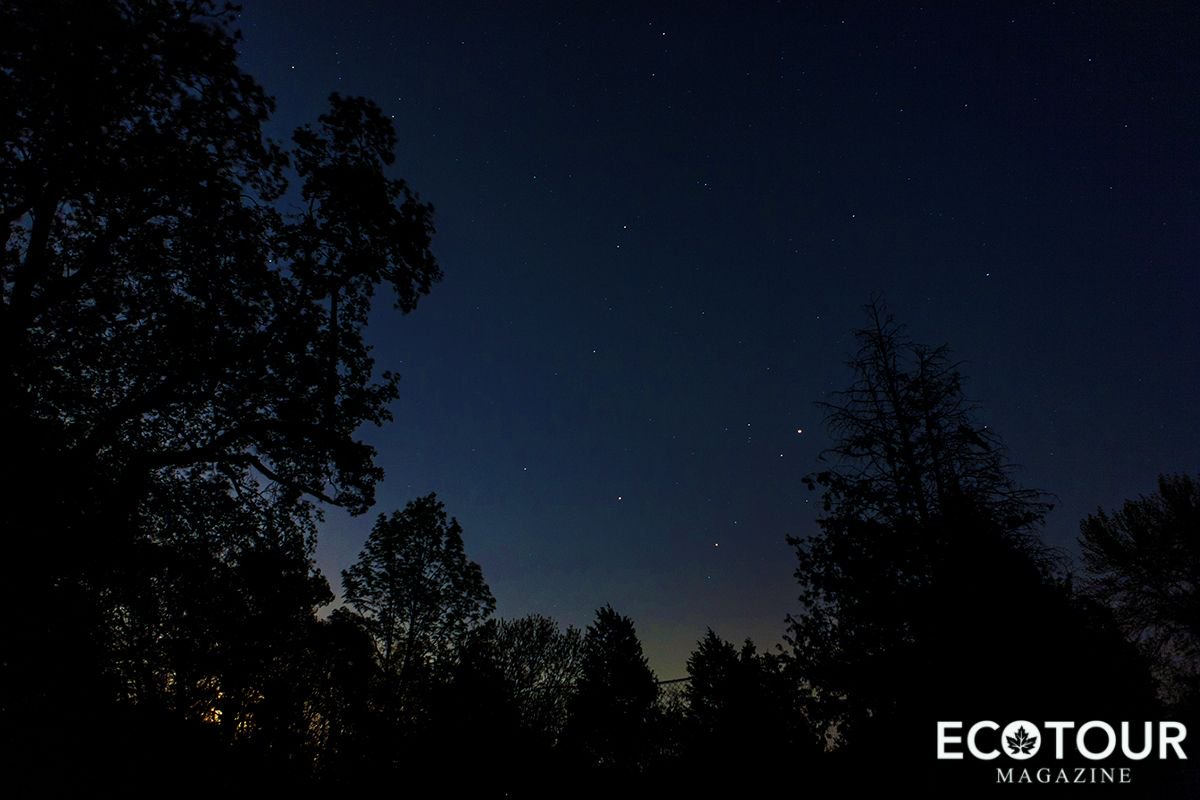 EcotourMag's tweet photo. The Night Owl bedroom had a fantastic view of the trees outside, and we could see the night stars from looking out the window https://t.co/zFpPhO1cZX #Travel #Ontario #Niagara #Stars https://t.co/sWai2v8VCP
