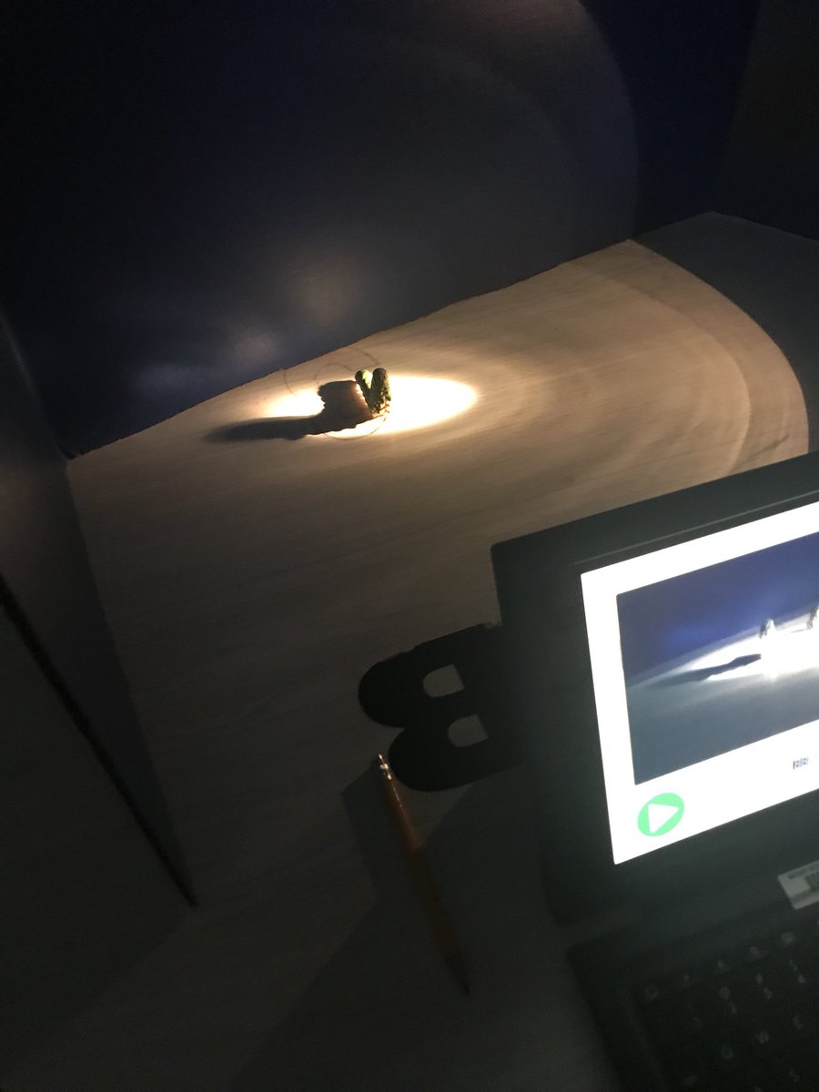 mskclarkcce's tweet photo. Look at these splendid scientists create shadows using the KomoKomo app in science lab for their 6 weeks projects! #midwaymagic #midwayscience #ccerocks #cceproud #cce2017 https://t.co/dDTzY2JKE3