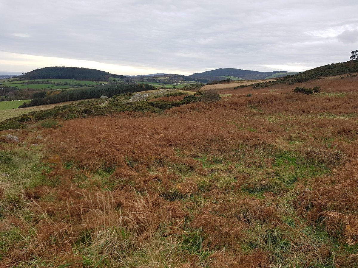 AliceAnnStacey's tweet photo. Oh hey, Twitter, been a while. Spent the last couple of months on Viking adventures in Ireland and have been mostly ignoring the internet. To make up for it here's some lovely Wicklow scenery and I'll have about an advent calendar's worth of panto posts for December. That cool? https://t.co/BjDXEanwd6
