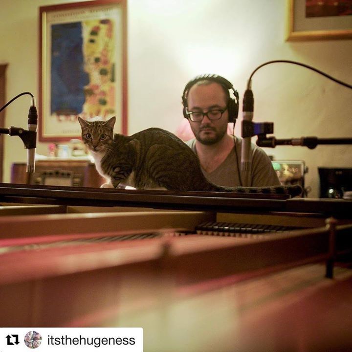 sonicranch's tweet photo. @itsthehugeness
πΉPat & Nachoπ± πΈ: @fiveohfilms #thehugeness #catsofsonicranch #steinway https://t.co/PTeZF03rZc