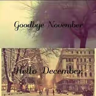 Hajrakhaan's tweet photo. #Goodbye_November✋✋
#Hello_December👏👍👌 https://t.co/2fiIGkZN5a