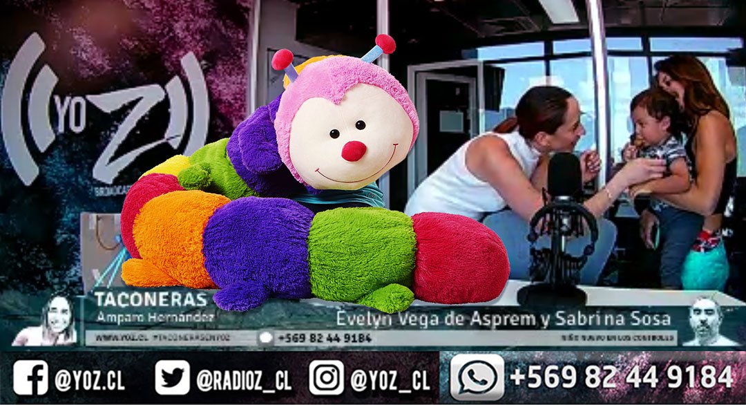 Siete_13's tweet photo. @RadioZ_cl @GuatonFantasma @jnunezlazcano @Maxlooff @amparohernandez Al aire #taconeras por #radioZtv 

📢Aki> https://t.co/YfaIurl5Av

#FelizJueves #nadamoderno #autopizta #gemeloz #inoperantez #pozguerra  #viax #ultimamirada #CARASTEMAS #npdrock #MouseLT Pamela Jiles #yonotuve9meses #QUÉLEO #YoguiBloggerWH #Asprem #CONCURSOSERPADRES https://t.co/1xJMLYPa3V