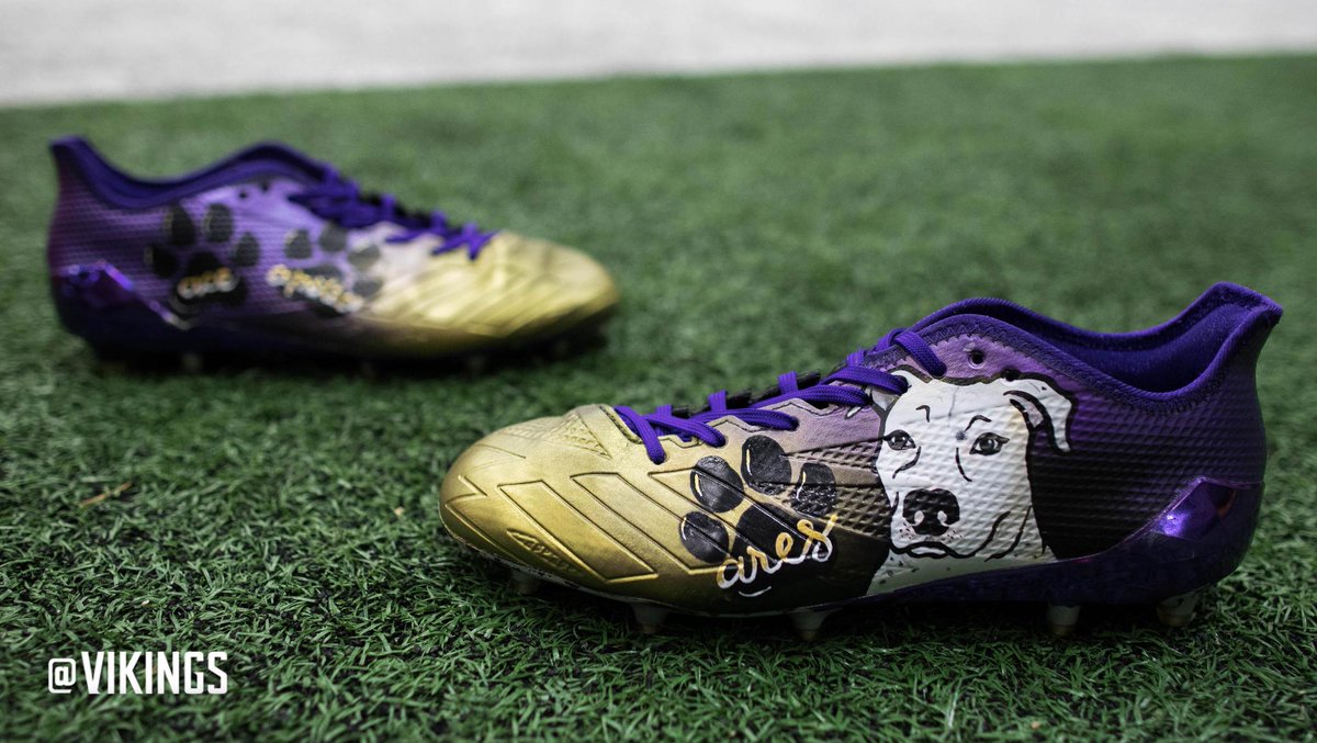 Minnesota Vikings tweet media