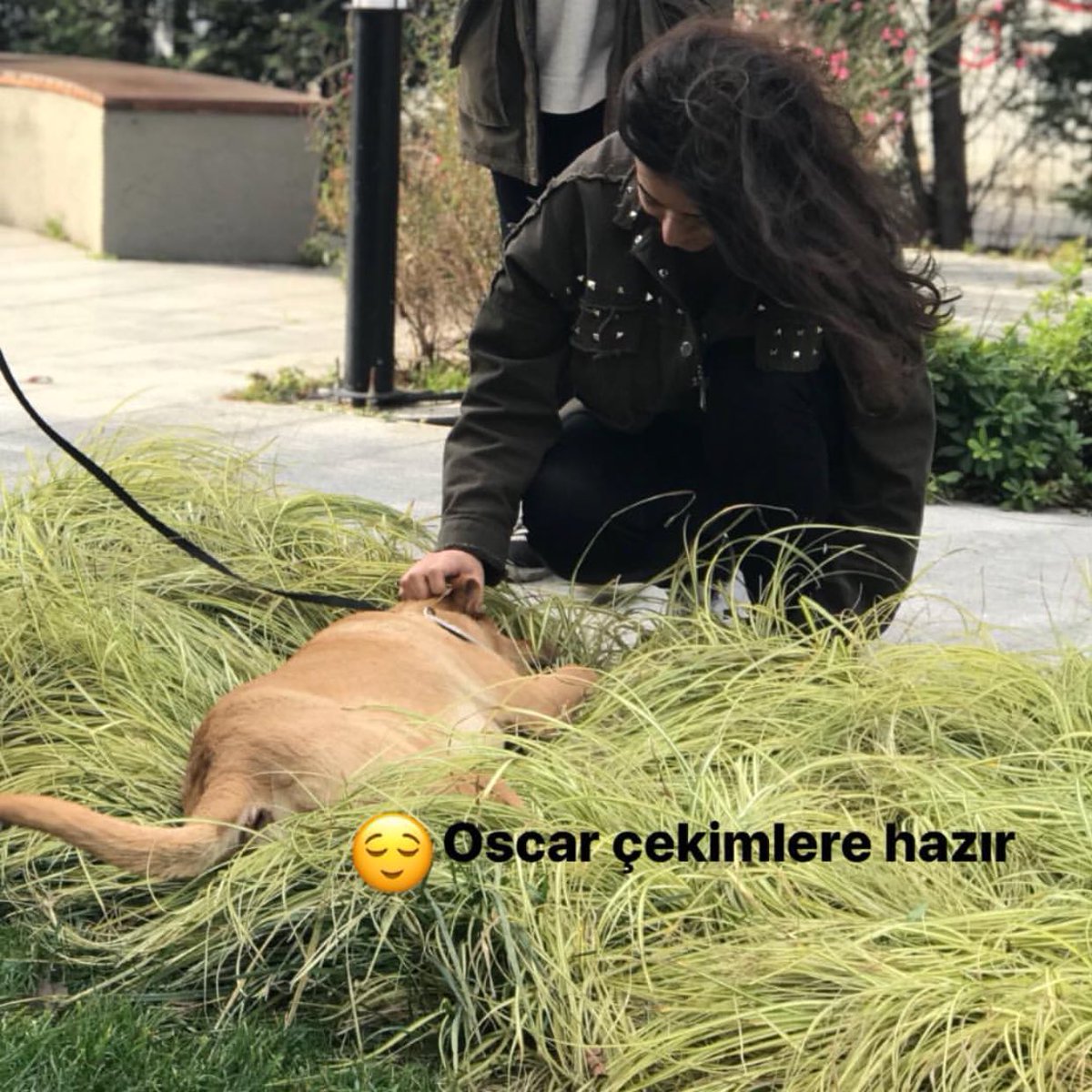 Hav hav! Bugün çok şaşırdığım birşeyler oldu. 😳 Kocaman kameralarla #AnadoluAjansı’ndan abi ve ablalar geldi ve benim fotoğraflarımı ve videolarımı çekmeye başladılar. Beni sahiplenen @isuomer ile konuştular. Tabi ben o sırada oyuna dalmışım tam hatırlamıyorum. 🐾🐾