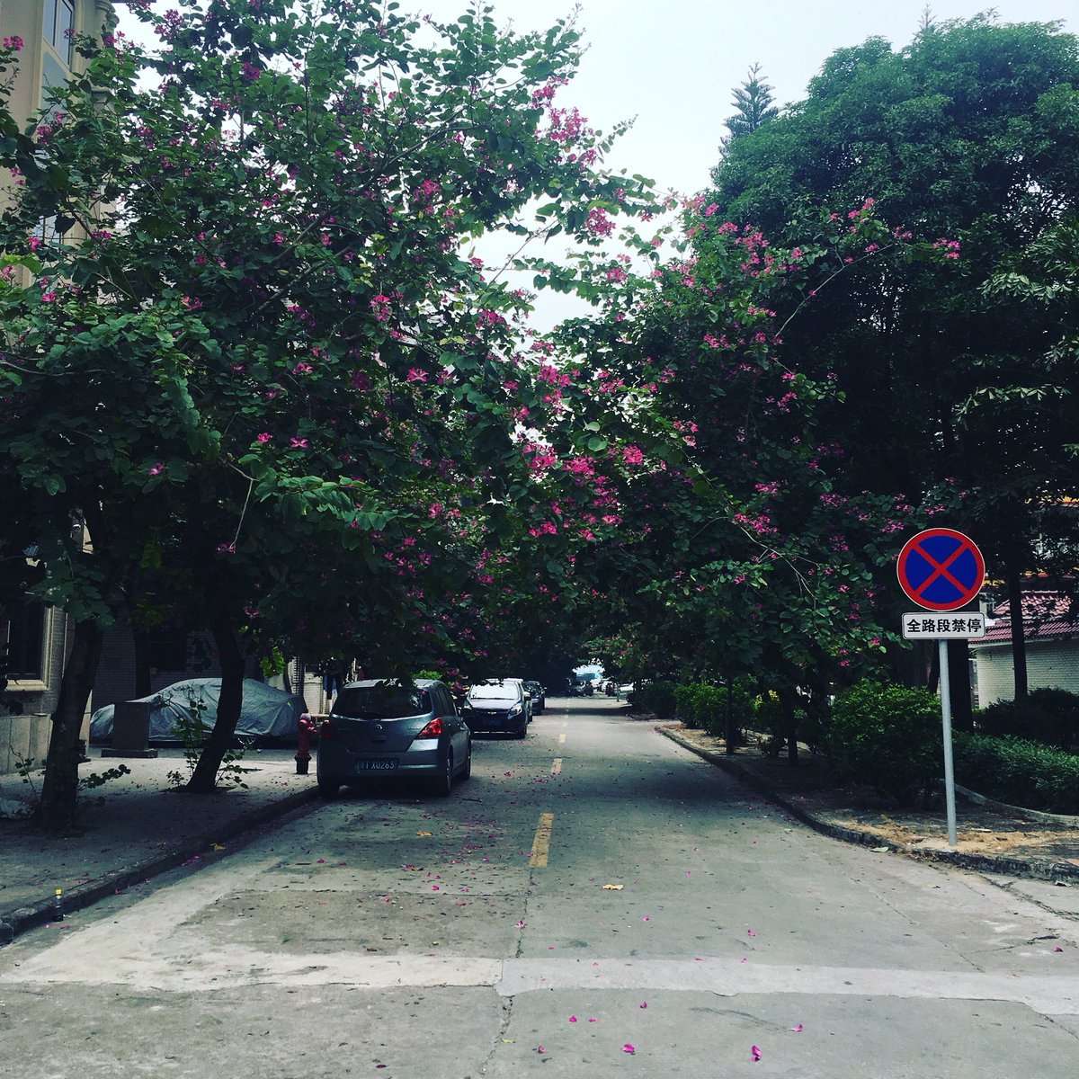 Dicky Ho tweet media