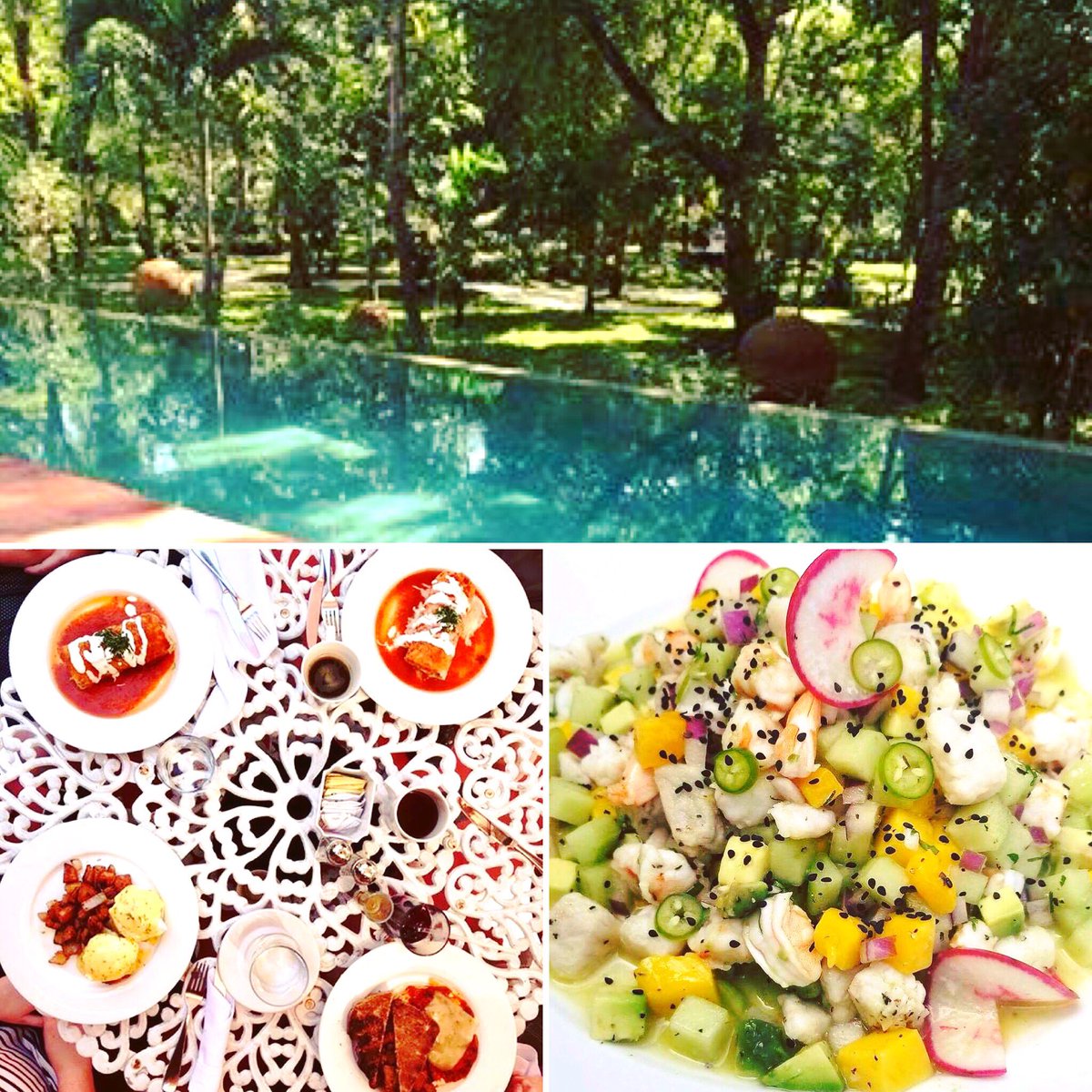 TulumFood's tweet image. New restaurant on TulumFood ! 🍴
Paloma‼️
Link TulumFood Website: tulumfood.com/restaurants/pa…
#Tulum #tulummexico #tulumfood