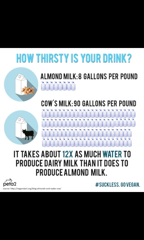 SamDrinksTea's tweet image. How thirsty is your drink? #suckless #govegan @peta2