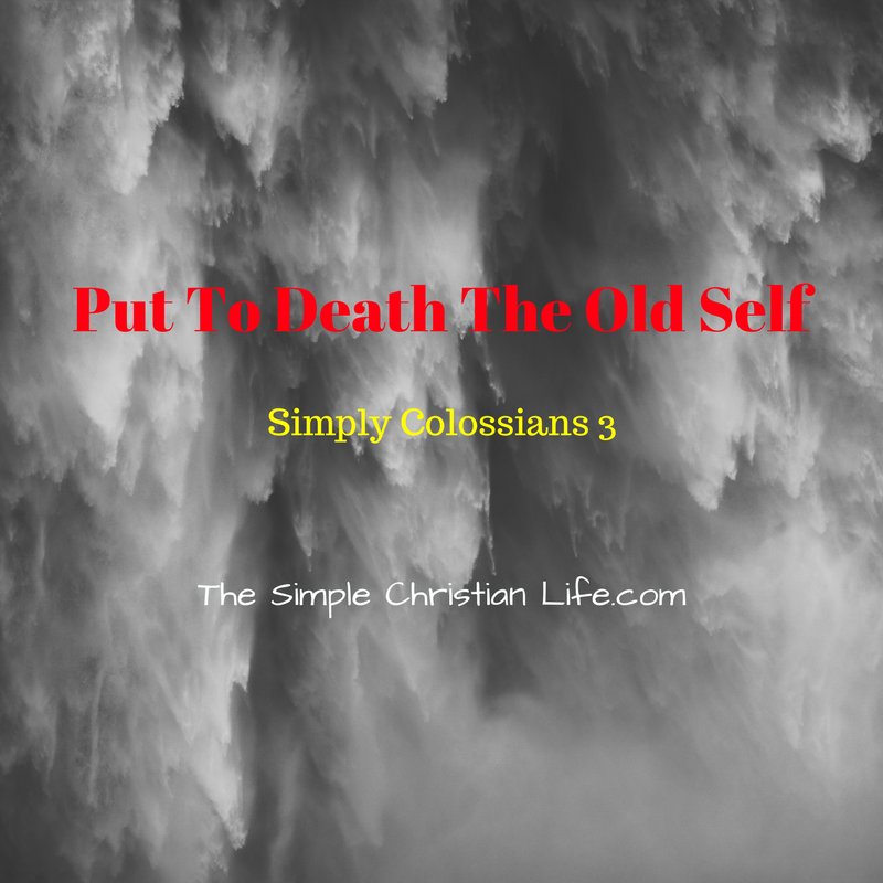 Put To Death The Old Self @ thesimplechristianlife.com/caj2  #ColossiansBibleStudy #1YearBibleReading