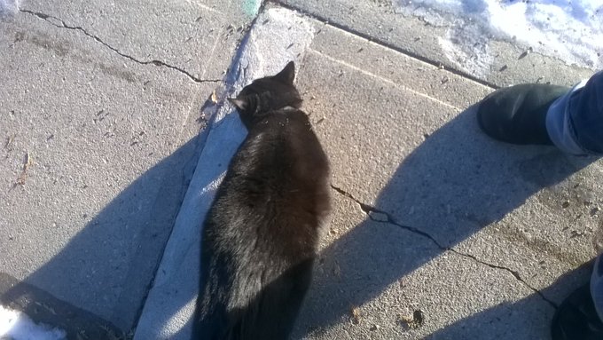 The cute reason why I was late for my cashpoint today lol https://t.co/e1Mddso90f<a href="/tag/grinchinatrix"class="tags"><span>#grinchinatrix</span></a>