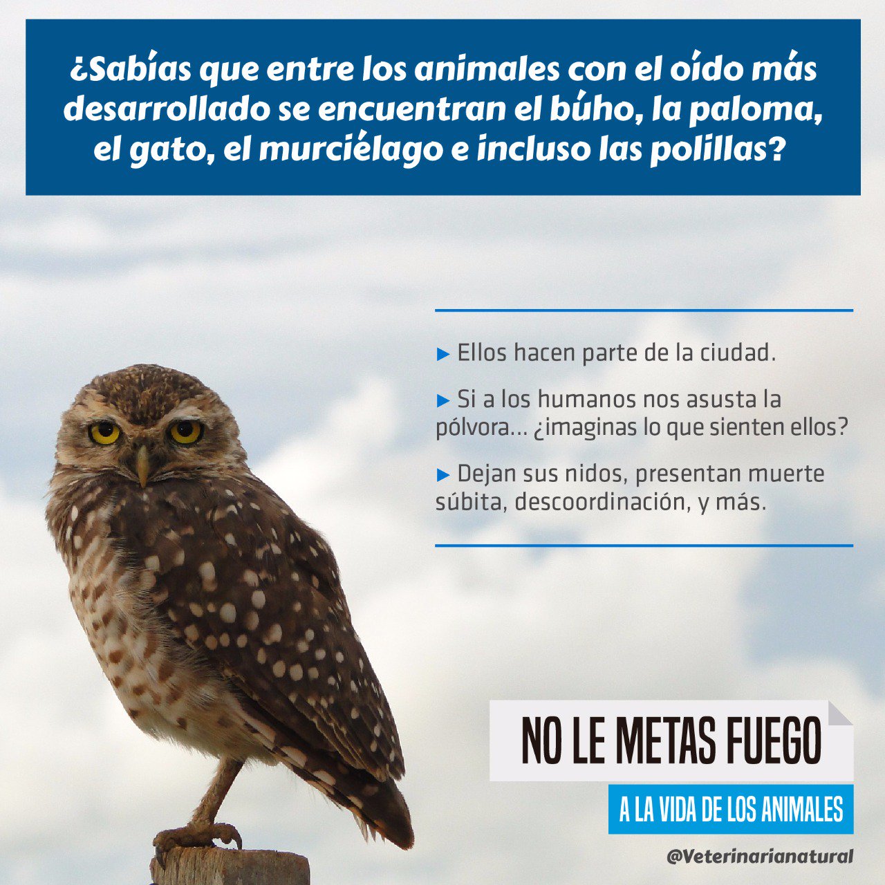Alcaldía de Medellín on Twitter: Alcaldía de Medellín on Twitter:
