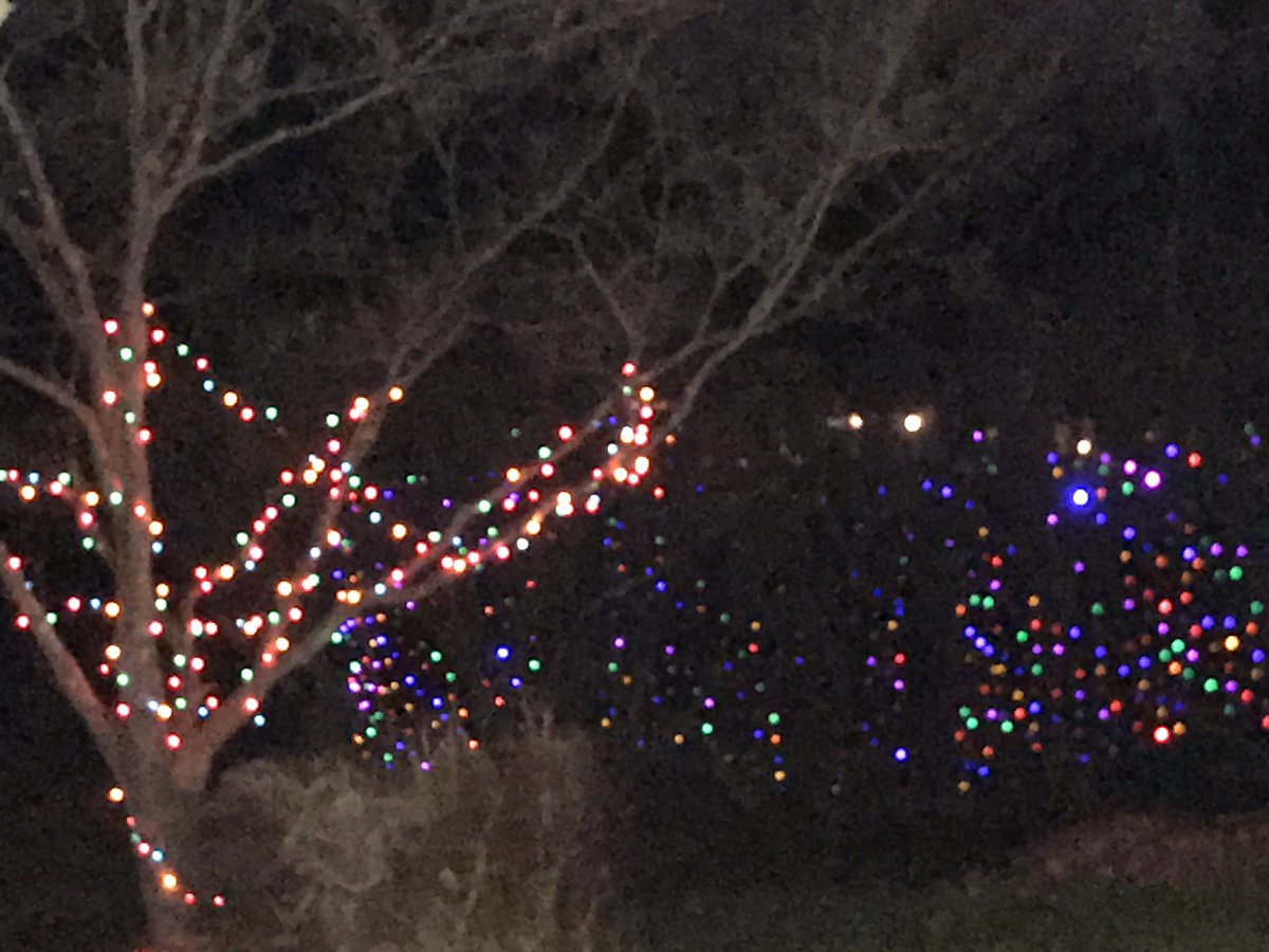 LisaWooditch's tweet photo. Day 30 #JebThanks. Thankful for my husband spending hours putting up the Christmas lights. Aka Clark Griswold. https://t.co/CEDu0A33RC