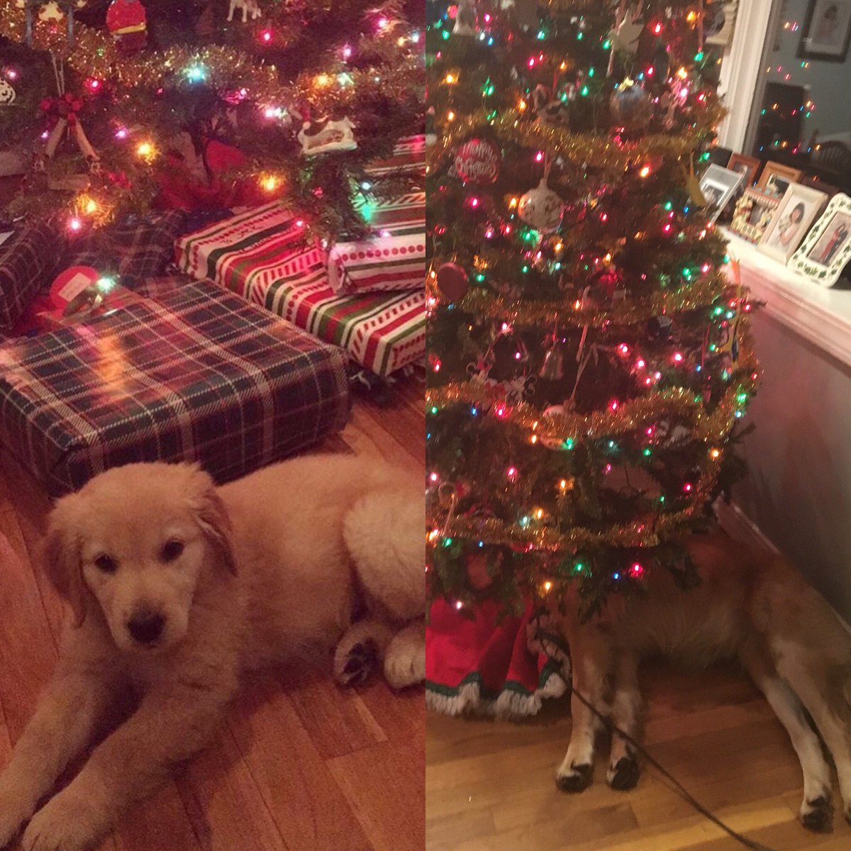 ktmulligan_'s tweet photo. Beginning of the semester vs. Finals Week #SandyStyle ๐พ https://t.co/SU3VQWcJwg