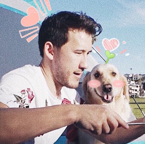 Classiplier's tweet photo. *+:｡.｡му ℓιттℓє ρяιиςєѕѕ｡.｡:+*

                              (❍ᴥ❍ʋ) https://t.co/E3kmLO5RWx