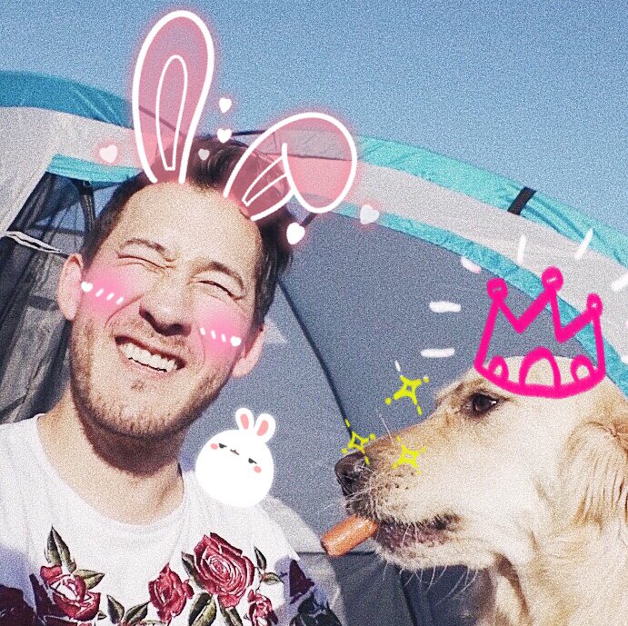 Classiplier's tweet photo. *+:｡.｡му ℓιттℓє ρяιиςєѕѕ｡.｡:+*

                              (❍ᴥ❍ʋ) https://t.co/E3kmLO5RWx