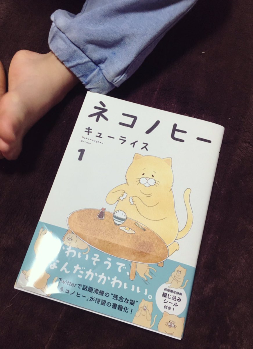 バタバタしててなかなか読めなかったけどやっとネコノヒーを読み終わりました。めちゃくちゃ可愛かった…success!!! 