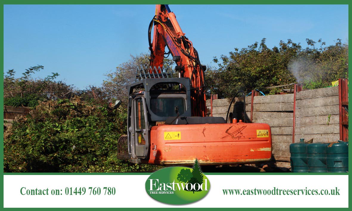 EastwoodTree's tweet photo. #Landowners, click here for #TreeConsultancy services in #Eastwood >>> https://t.co/0GdW3M140x https://t.co/emaW8nVBnT