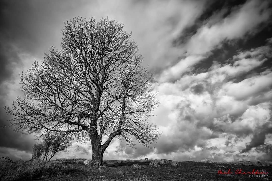 Psmeg's tweet image. Amazing changeable weather here today and the opportunity to shoot a scene I've had my eye on for months. #photography #landscapephotography #beautifulwales