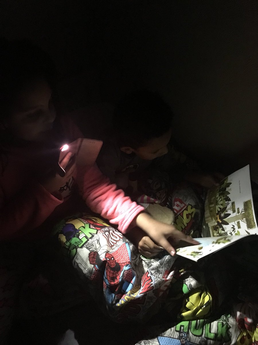 VickiCraigAriyo's tweet photo. @WBurghPrimary #BookweekScot Tobi (5A) and Gabriel (3/2) reading by torchlight in bed! https://t.co/PCulRL3bFS