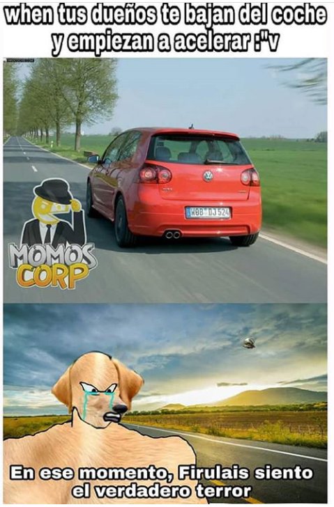 KiddSanz's tweet photo. Laura sad
@MomosYMemes https://t.co/QKbQrFfDWt