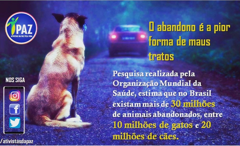 ativistasdapaz's tweet photo. A pior forma de maus tratos é pelo abandono, o animal se sente desprotegido, desamparado e com muito medo, por não estar ambientado com o local e com as novas condições, certamente morrerá da maneira mais cruel que existe. 

Se vc não quer ter um animal, não compre ou adote. https://t.co/C5PjudvyNG