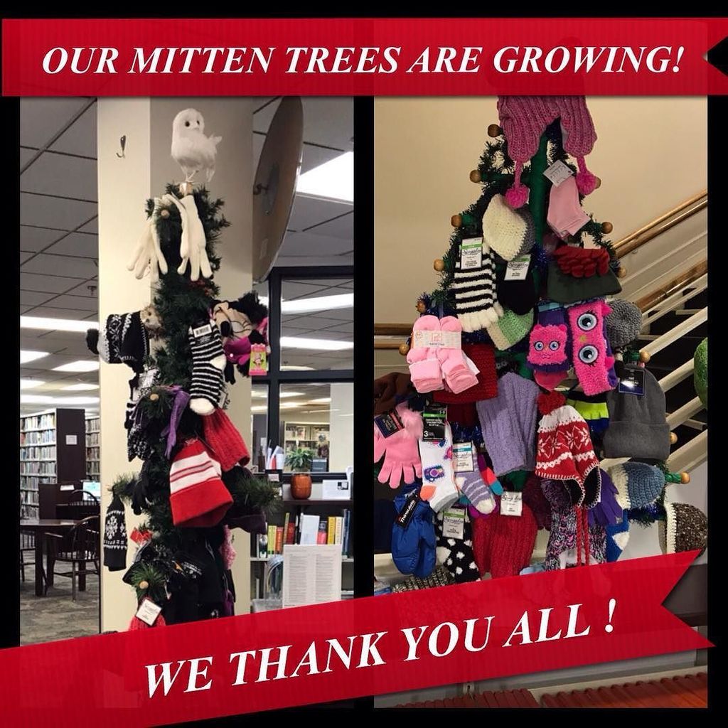 pmlib's tweet photo. WE LOVE OUR COMMUNITY!!
Our mitten trees are growing thanks to you all! 
#pmlib #pmlibReads #pmliblove #pmlibcommunitystrong #keepingwarm #inwinterenjoy https://t.co/L4FLvxRBhw