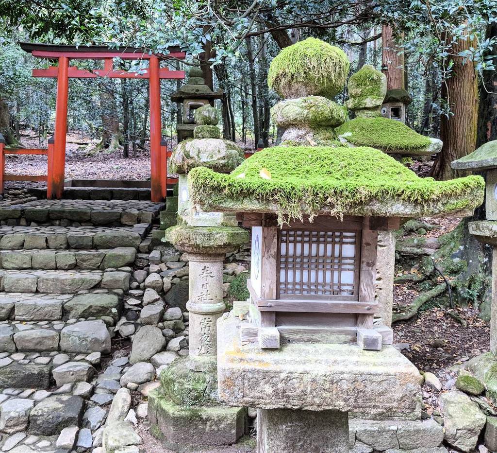 Snubs's tweet photo. Lanterns at Kasuga Taisha, a shrine in Nara, Japan.
.
.
.
#shrine #japan #japantravel #traveljapan #SnubsInJapan #japantrip #discoverjapan #japantravelcom #instagramjapan #japanawaits #japanloverme #japan_night_view #visitjapanjp #visitjapanau #japanreve… https://t.co/73ymvdyfYF https://t.co/bnbPdZg7uy