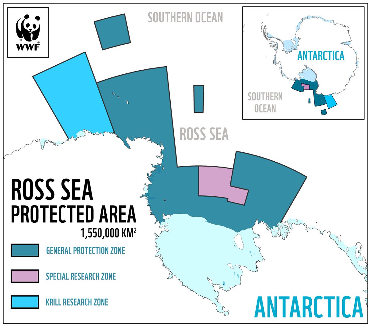 The Antarctic Report tweet media