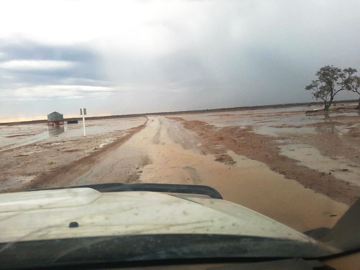 Pic 1: Farmers prepare at Hillston (pic: John, Rankins Springs). Pic 2: Wilcannia this morning after three o/night storms (pic: Andrew C). <a href="/ABCemergency/">abcemergency</a> #agchatoz <a href="/abcnews/">ABC News</a>