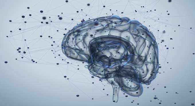 Cars4Autism's tweet photo. Improved social interaction and cognition from a potential therapeutic for syndrome that often results in autism https://t.co/2MwNn1U27K https://t.co/PtNS43URDb