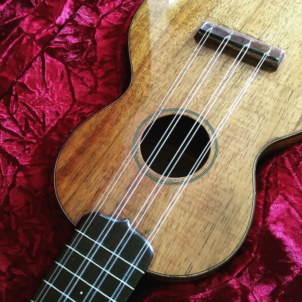 Kamuke's tweet photo. My 1929 Martin Taropatch. It rarely leaves the house, but yesterday I used it to record an original song. She sounded beautiful! ❤️ #ukulele #uke #kamuke #martin #taropatch #koa #vintage #oldlady https://t.co/IL6PrVBjZu https://t.co/4PhNxgjgQo