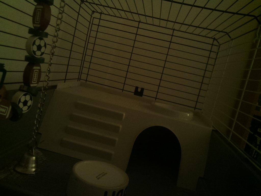 DexVision's tweet image. Dexvision live update at: 2017/11/30 21:00:03