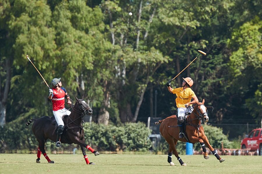 Pololine's tweet photo. #picoftheday II: Gato Gandara y Victorino Ruiz. #Technopolo Cup.
📸 @KaterinaMorgan https://t.co/hCNPGrl1O7