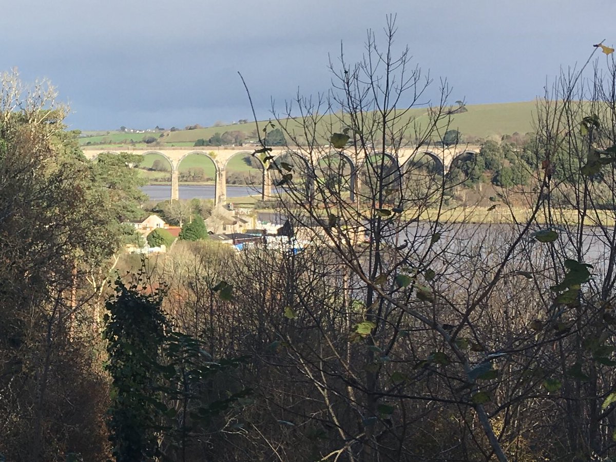 Pockets of sunshine earlier today on my way back from the Rame peninsula.
#cornwall #viaduct #lastdayofautumn