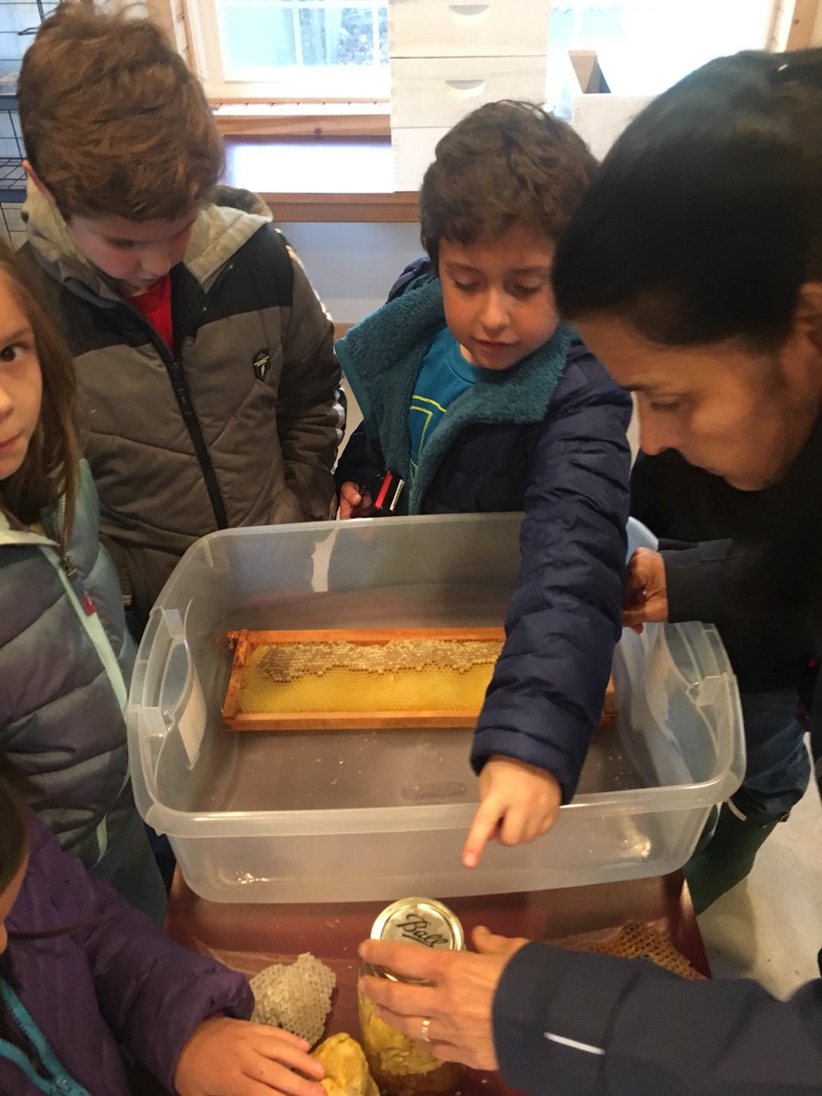 HilltopReading's tweet photo. Learning about bees at the Valleyview Squire Farm. https://t.co/49iuHQGDWS