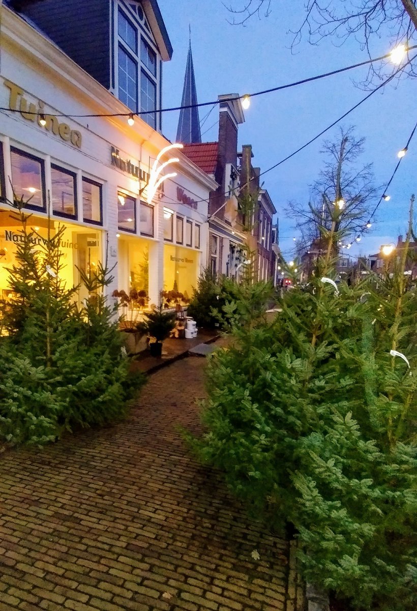 NatuurvolWonen's tweet photo. Welkom voor een #kerstboom! Bij @NatuurvolWonen en @NatuurvolTuinen Ook in de #showtuin achter volop keuze. De #kerstbomen komen vers uit de grond en zijn met #kluit dus dat is lang genieten! Na de #feestdagen, zo de #tuin weer in. Oh ja, #gratis #bezorgen binnen @WorkumNL https://t.co/nK8MGBsKRm