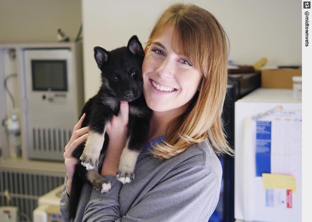 On a scale of 1 to Infinite, how adorable is Gucci Hannah? 😍💘 #okc #oklahomacity #localokc #puppy #puppylove #dogsofinstagram