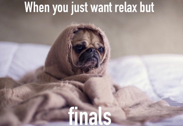 'nuff said. #finals