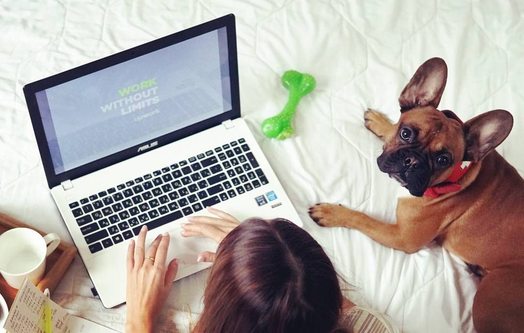 Upwork's tweet photo. Check out some of the great entries we've received for the #UpworkPhoto contest and be sure to send yours in before tomorrow's deadline! https://t.co/KGkkcqhkvI https://t.co/YeMio9eLem
