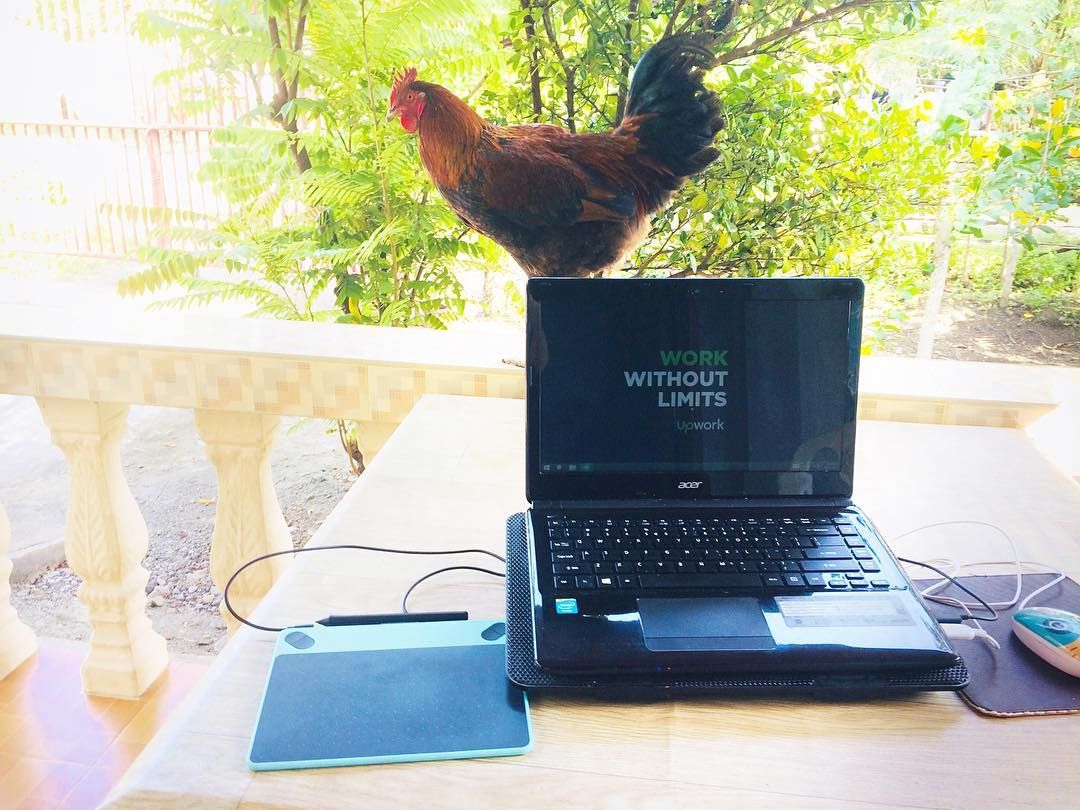 Upwork's tweet photo. Check out some of the great entries we've received for the #UpworkPhoto contest and be sure to send yours in before tomorrow's deadline! https://t.co/KGkkcqhkvI https://t.co/YeMio9eLem