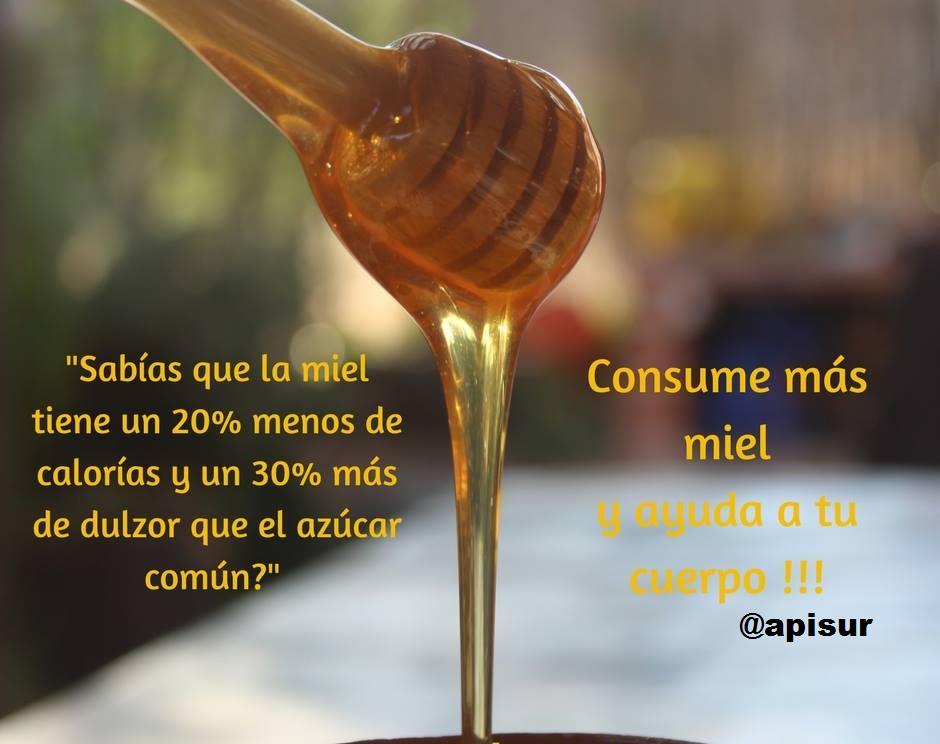 Apicola del sur (apisur) tweet media