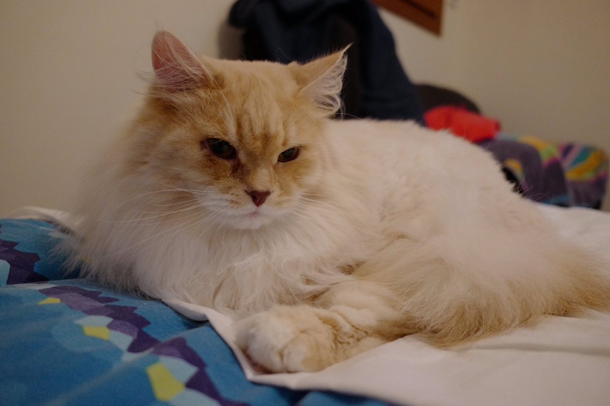 D4Image's tweet image. Just unpacked!! Fantastic!! To do proper test asap #leica cl#leica