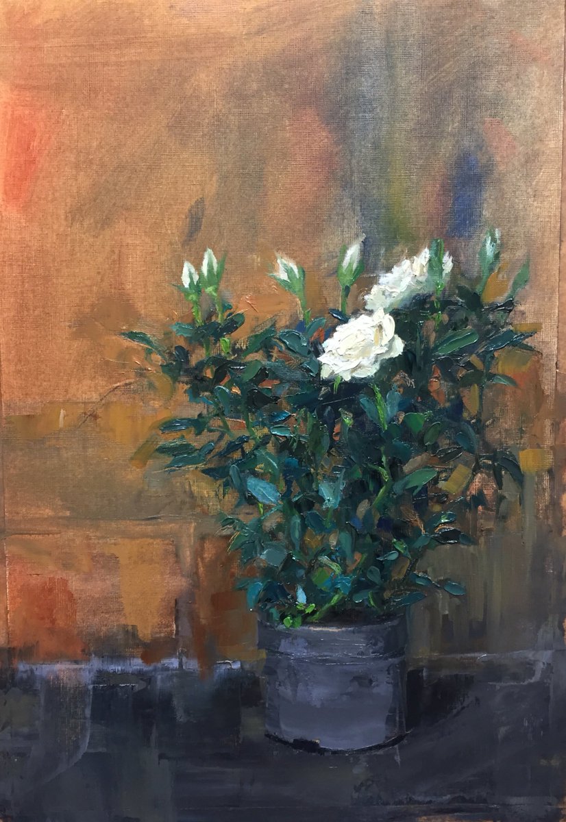 Some recent thicker #paint work from the studio. #roses #oilpaint #art #flowers