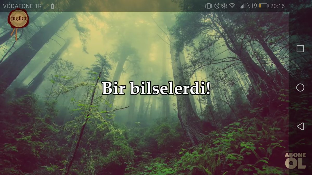 Where have you gone? картинка. Лайк фэмили. Home is where the heart is. Where you. Home is where mom.
